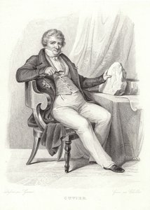 Porträt von Georges Cuvier von French School