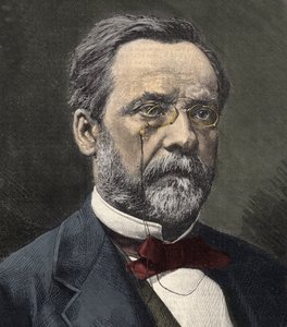 Porträt von Louis Pasteur (1822-1895), englischer Chemiker und Mikrobiologe