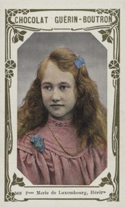 Prinzessin Marie von Luxemburg, Erbin