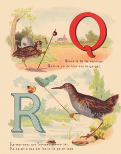 Q: Wachtel, Wasserralle