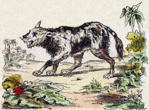 Quachy (Art von Löwenhund aus Südamerika). Gravur in "Alphabet des animaux sauvages". 9. Serie. Bildersammlung von Epinal, Pellerin, Drucker-Verleger, um 1870. Holzschnitte, schabloniert. 16 Seiten. Dim: 20 x 15 cm. Private Sammlung