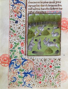 Kaninchenbau, aus dem Livre de la Chasse von Gaston Phebus de Foix (1331-91) von French School