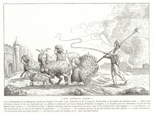 Seltene Tiere
