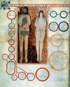 Darstellung von Adam und Eva, die roten Medaillons stellen die Linie von Kain dar, die durch die Sintflut zerstört wurde Miniatur, die die Kommentare zur „Apokalypse nach Johannes“ illustriert, geschrieben 775 von dem Mönch Beatus von Liebana von French School