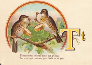 T: Tambourinspieler freundlich, ebenso anmutig, diese Pirolen sind charmant für Ohr und Auge