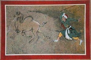 Der wütende Kameltreiber, Illustration aus 