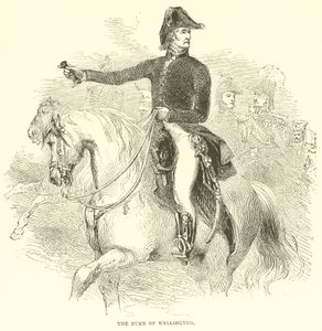 Der Herzog von Wellington (Gravur) von French School