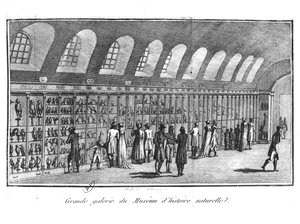 Die Große Galerie des Naturkundemuseums in Paris von French School