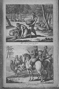 Die Mauren sammeln Gummi und transportieren das Gummi nach Senegal, Illustration aus 