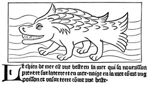Der Seehund von French School