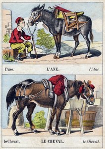 Der Esel und das Pferd. Gravur in "Buffon Alphabet des Animaux"