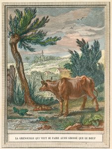 Der Frosch, der so fett wie das Kalb sein wollte