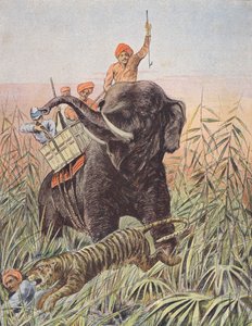Tigerjagd, Indien