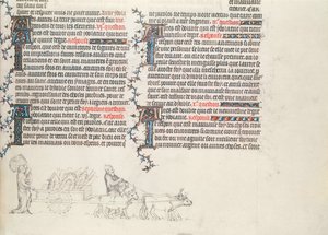 Transport von Habseligkeiten in einem von Ochsen gezogenen Wagen, unvollendete Miniatur aus der Bibel von Jean de Sy, ca. 1355