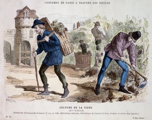 Weinkultur im 15. Jahrhundert - in Costume de Paris durch die Jahrhunderte von French School