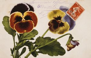Vintage französische Postkarte mit Blumendekorationen von French School