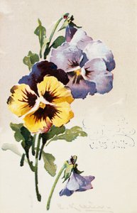 Vintage französische Postkarte mit Blumendekorationen von French School
