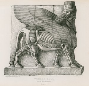 Geflügelter Stier, aus Khorsabad, Louvre von French School