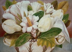 Magnolie