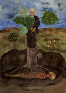 Porträt von Luther Burbank