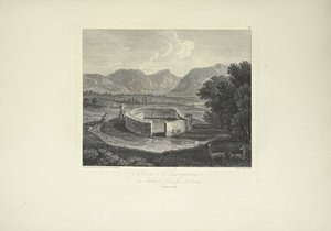 Ynca-Chungana, aus dem Garten des Inka bei Canar, gezeichnet von Gmelin, graviert von Morel, Illustration aus 