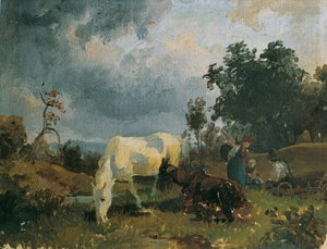 Ein Schimmel auf der Heide