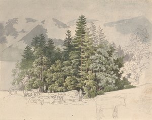 Alpenlandschaft von Friedrich Salathe