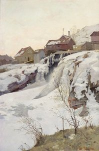 Haug-Fälle