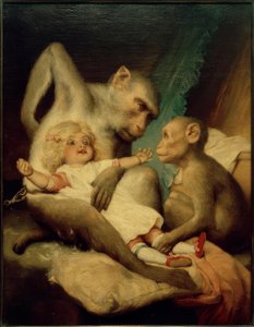 Anthropologischer Unterricht von Gabriel Cornelius Ritter von Max