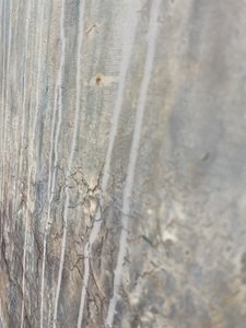 Rissige Gealterte Wand von Gabriela Aleksandra Szuba