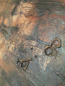 Rissige Bronze-Patina von Gabriela Aleksandra Szuba