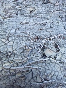 Rissige weiße Textur von Gabriela Aleksandra Szuba