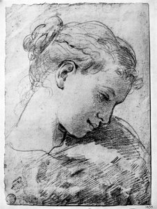 Studie eines Mädchenkopfes, 18. Jahrhundert von Gaetano Gandolfi