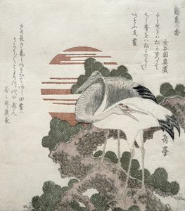 Kranich (Tsuru) aus der Serie 2 Designs von Kranichen und Schildkröten, 1818-30 von Gakutei Harunobu