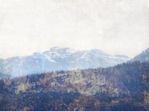 Nebliger Bergwald von Gemma Bardot