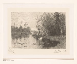Enten entlang und auf dem Ufer eines Teiches