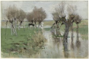 Hochwasser auf der Weide
