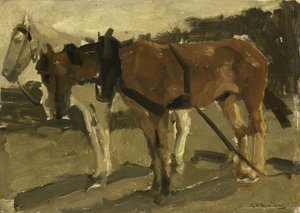 Ein Braunes und ein Weißes Pferd in Scheveningen