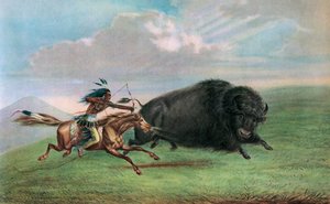 Druck nach Buffalo Hunt von George (after) Catlin
