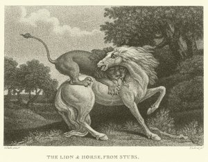 Der Löwe und das Pferd, von Stubs
