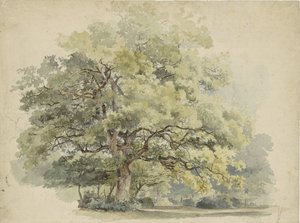 Baumstudie von George Andries Roth