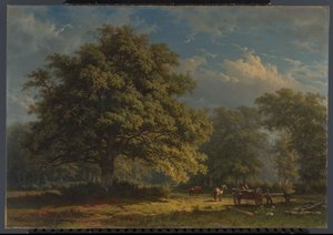 Ansicht im Bentheimer Wald