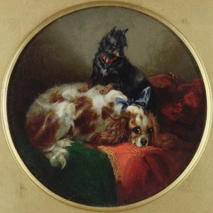 Blenheim Spaniel und Terrier, Gemälde nach J.F. Herring (1795-1865)
