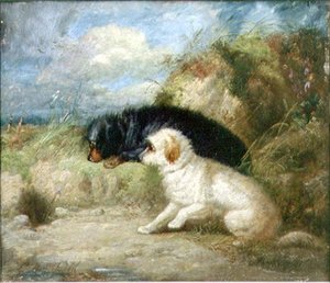 Terrier an einem Kaninchenloch