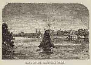 Irrenanstalt, Blackwells Island