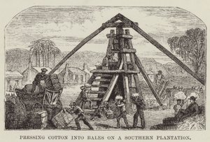 Baumwolle auf einer südlichen Plantage in Ballen pressen