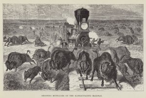 Büffeljagd an der Kansas-Pacific-Eisenbahn von George Augustus Sala