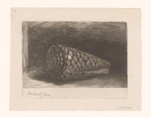 Die Muschel von George Bickham (II)