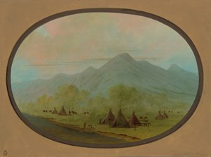 Ein kleines Krähen-Dorf