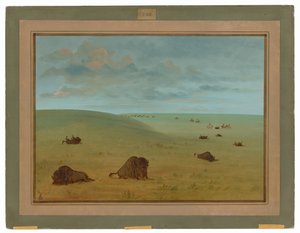 Nach der Büffeljagd - Sioux